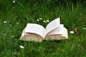 open book displayed on a flowered grassy field