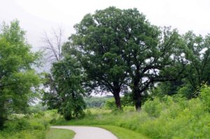Moraine Hills State Park near McHenry IL | Moraine Hills Sta… | FlickrMoraine Hills State Park near McHenry IL