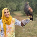 Staff member Ramsha holds a harris hawk in her left hand